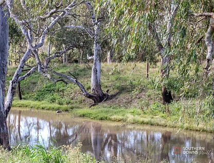 LOT 1 Condamine River Road, Pratten, Darling Downs, 0房, 0浴, Section