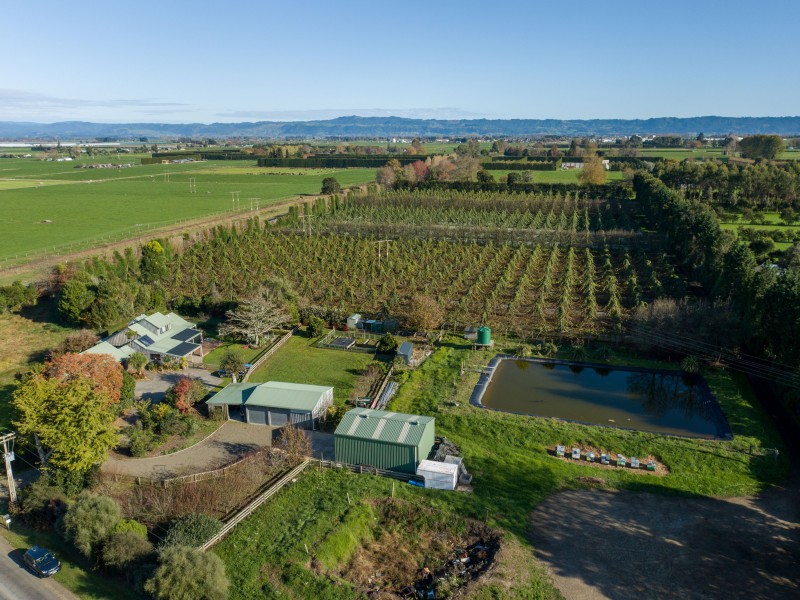 5 Melville Road, Whakatane, Whakatane, 3 rūma, 0 rūma horoi, Horticulture