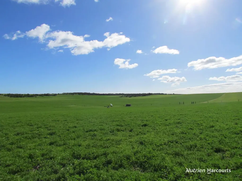 Dongara  "Gadara Farm"
