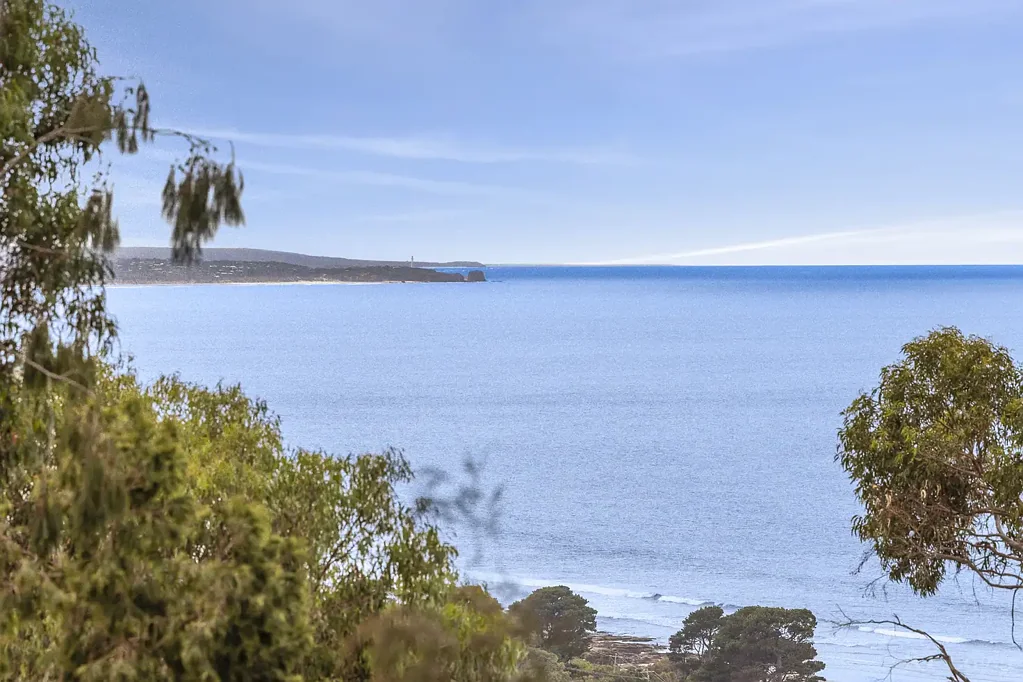 Lorne 3部屋 Treetop Beach House With Amazing Ocean Views!