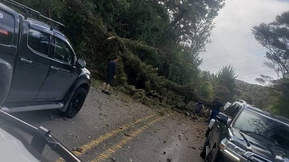 惊险！奥克兰北部1号高速因事故封路，沿线交通受阻