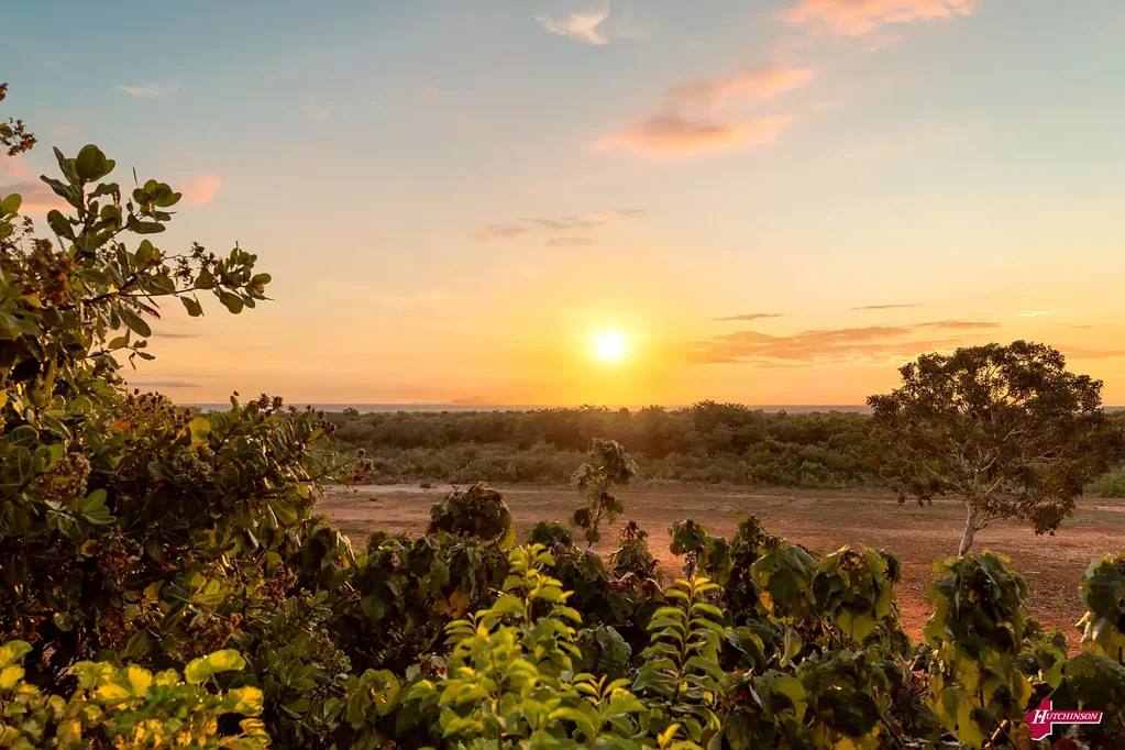 Waterbank 4Zimmer BUILD THE DREAM ON 5 GENTLY SLOPING ACRES IN GORGEOUS COCONUT WELL AND WITH DIRECT BEACH ACCESS.