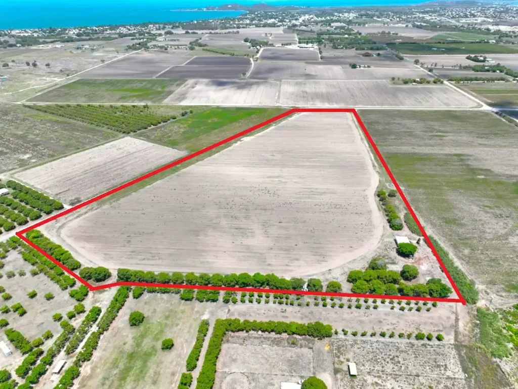 Bowen 2غرفة نوم HIGHLY PRODUCTIVE FARM LAND