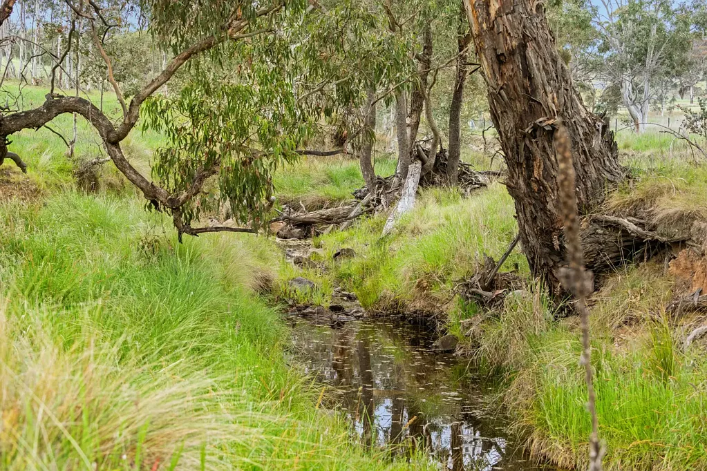 188 Newington Road, Bywong, NSW 2621