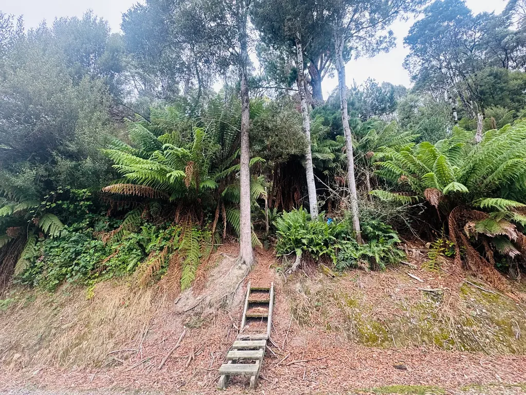 Zeehan Great Value Block in a Peaceful West Coast Setting