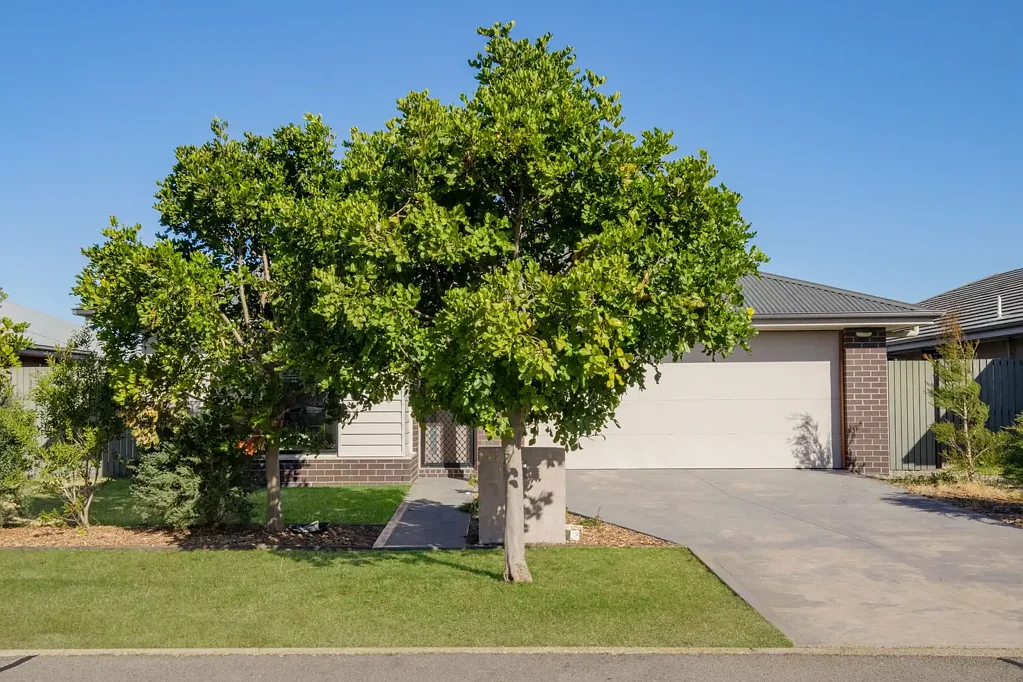 26 Rosemary Street, Fern Bay, NSW 2295