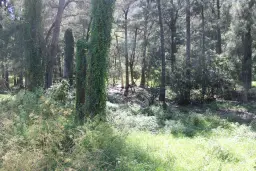 Lot 2 Majors Creek Mountain Road, Araluen