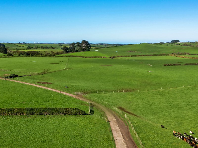 256 Lower Stuart Road, Eltham, South Taranaki, 0 rūma, 1 rūma horoi