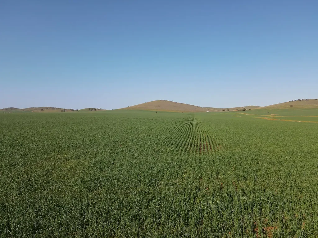 274E Melrose Road, Pekina, SA 5431