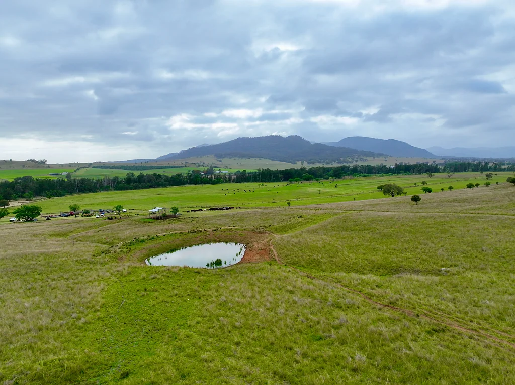 Denman "Bronte Park" Productive Rural Holding on Martindale Creek
