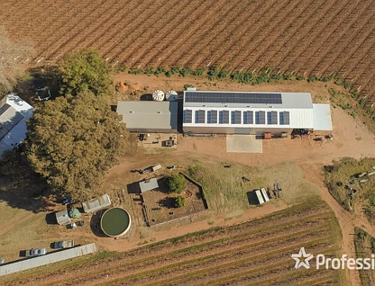 248 Sunnycliffs Crescent, Red Cliffs, Vic Country , 4 ਕਮਰੇ, 1 ਬਾਥਰੂਮ, Lifestyle Property