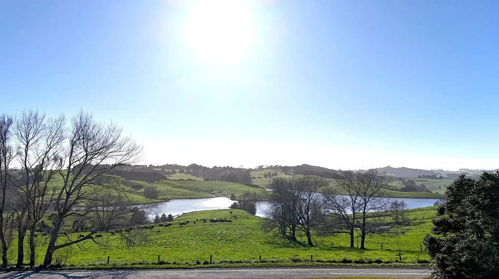 Wellsford Unique Canvas, Views & Natural Beauty