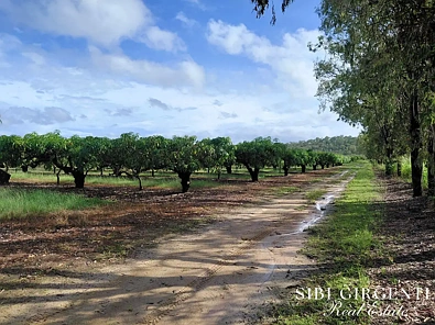 Labas ng Bahay - LOT 263/71 Gilmore Road, Mareeba, QLD 4880