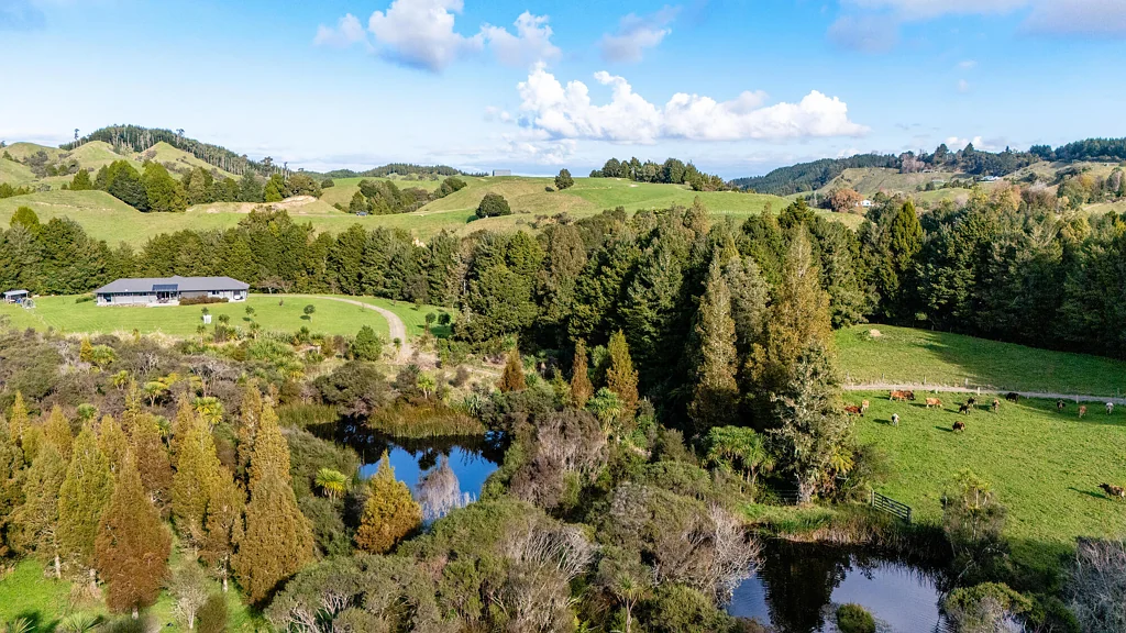 Waimana 3Habitaciones Where the world slows down - your private retreat