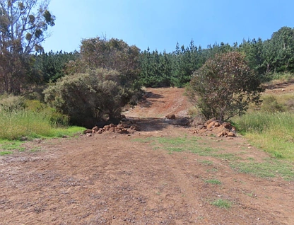 Lot 83 East Nannup Road, East Nannup, Bunbury, 0 침실, 0 욕실, Lifestyle Property