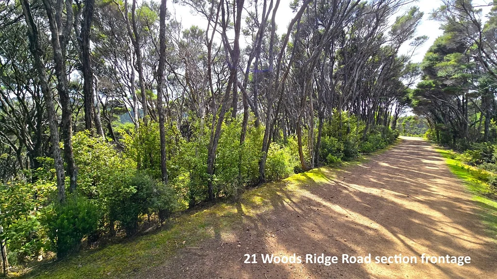Kawau Island URGENT SALE - OWNERS OVERSEAS & WANT THIS SOLD!