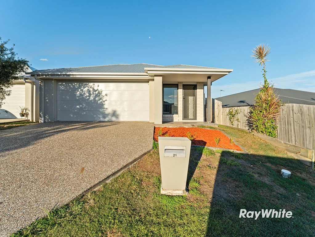21 Beck Street, Park Ridge, QLD 4125