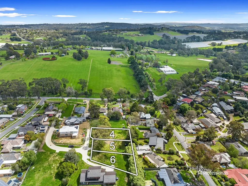 6 Hampstead Close, Seville, VIC 3139