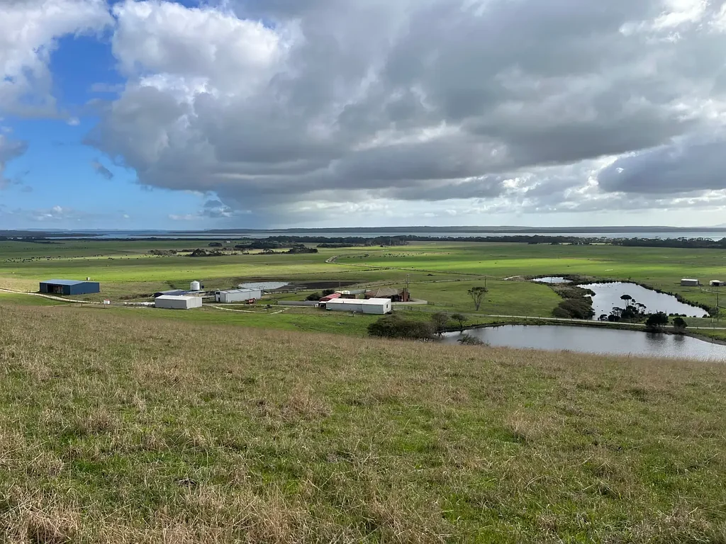 Montagu Montagu Dairy