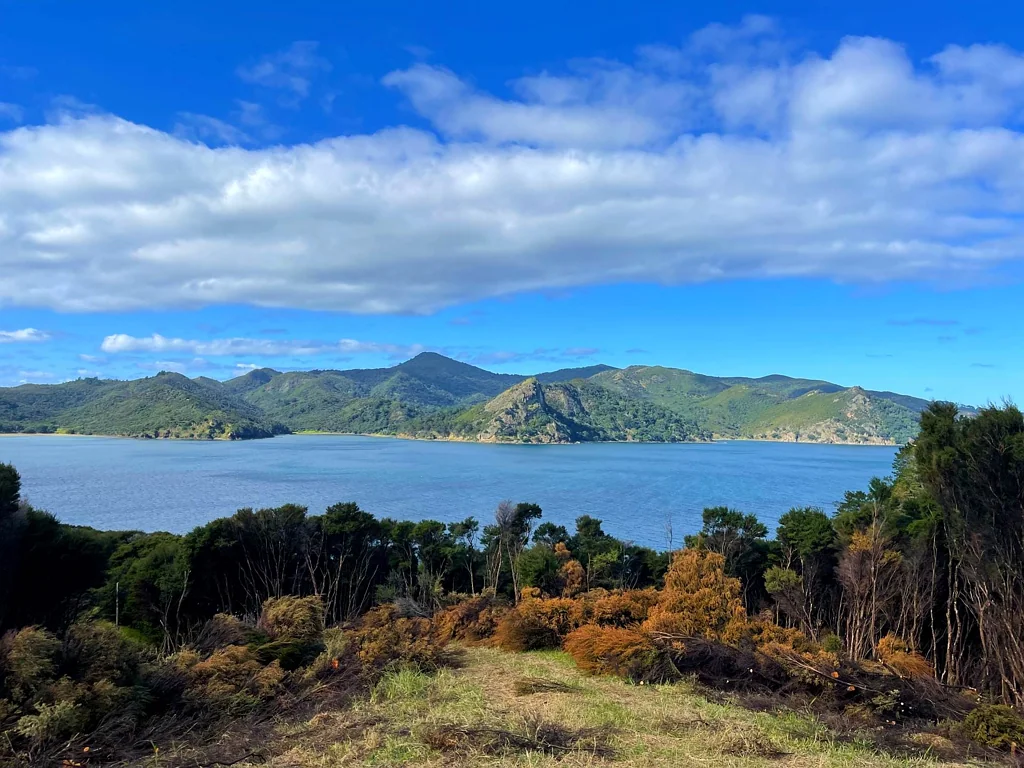 Great Barrier Island Cliff-top with Breath-taking Views: Make an Offer!