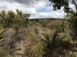 地址保密, Toodyay