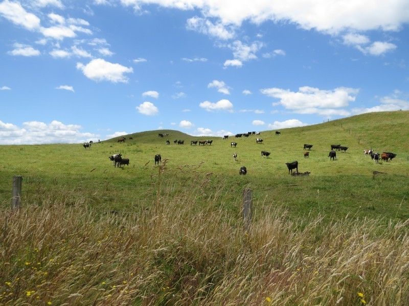 451 Henderson Road, Mangakino, Taupo, 0 rūma, 0 rūma horoi