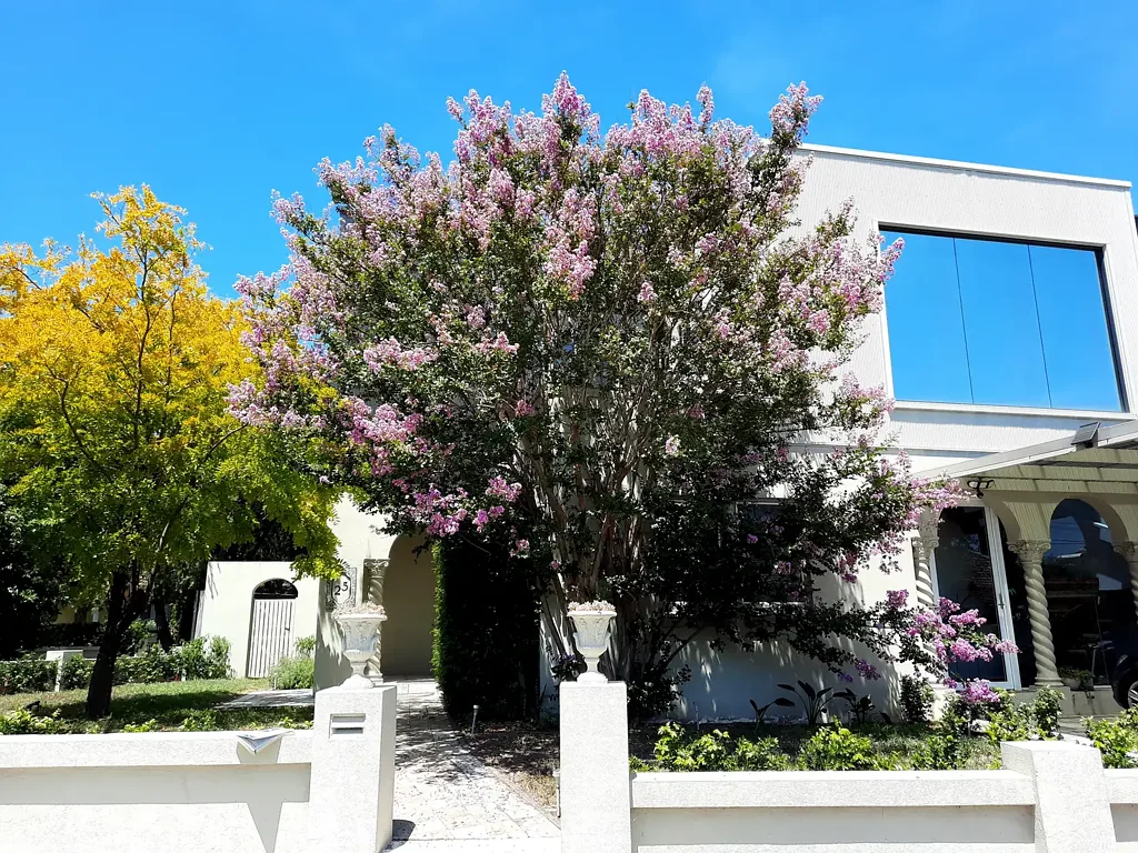 Spacious Dual-Living Property - Ideal for Extended Families