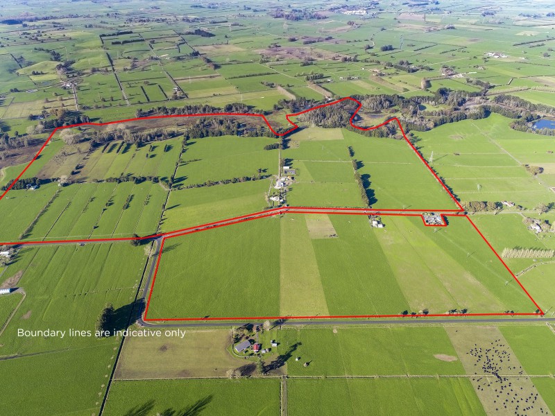 133 Farmer Road, Waitoa, Matamata, 0 Schlafzimmer, 0 Badezimmer