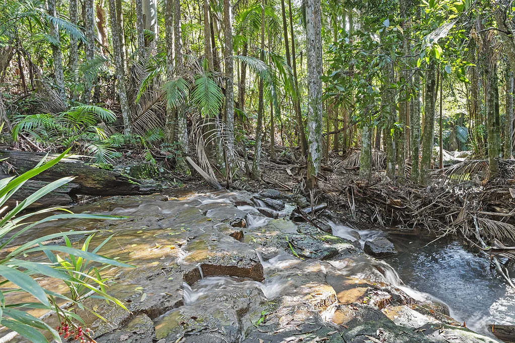 Tamborine Mountain The Last of its Kind!