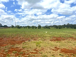 94-96 Premier Drive, Kingaroy
