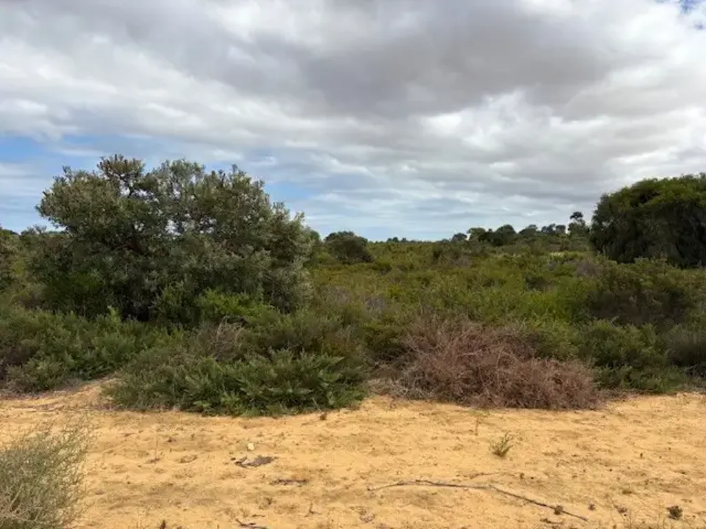 LOT 137 Paperbark Avenue, Gabbadah, WA 6041