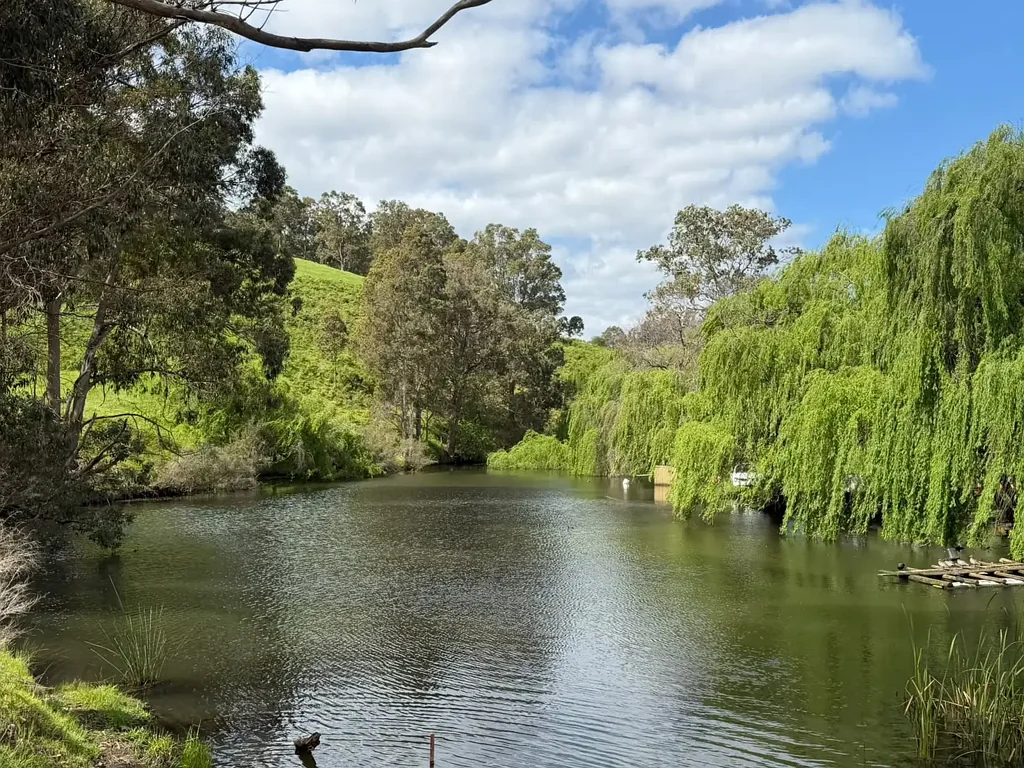 Crooked Brook 3ਬੈੱਡਰੂਮ Rural Opportunity with Dams and Sweeping Views on 84 Acres
