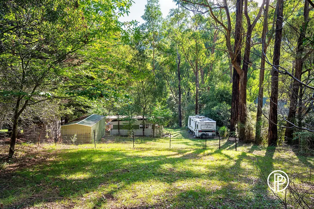 Reefton 1/3 OF AN ACRE OF COUNTRY LIFESTYLE BLISS