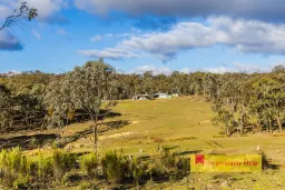 556 CLARKES CREEK RD, Windeyer