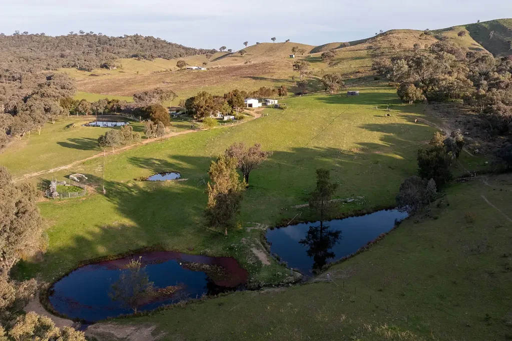 Mudgee  100 Acre Lifestyle Property