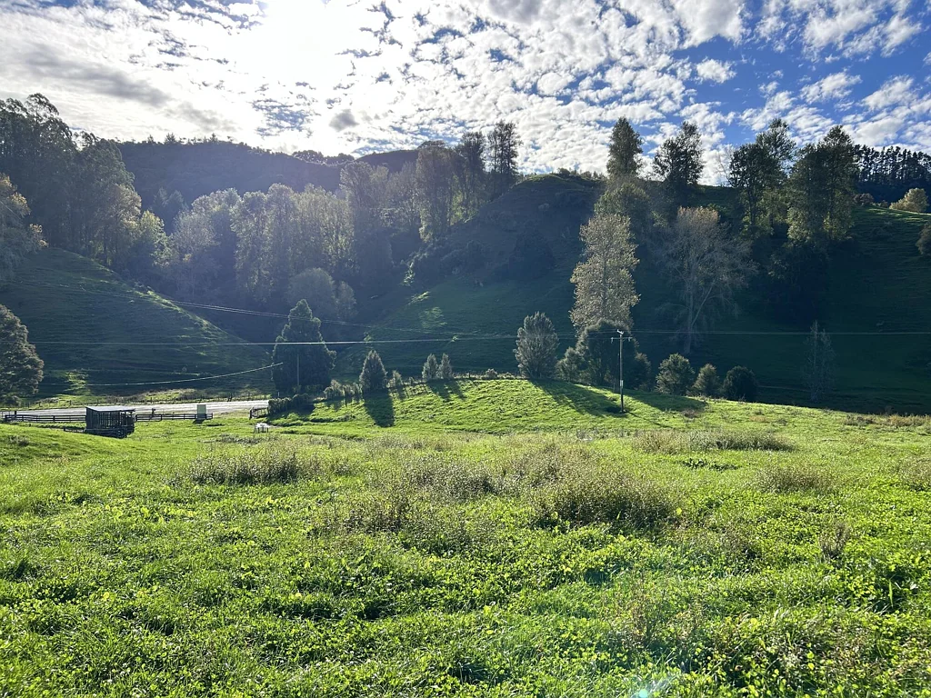 Otorohanga  Imagine your dream home here