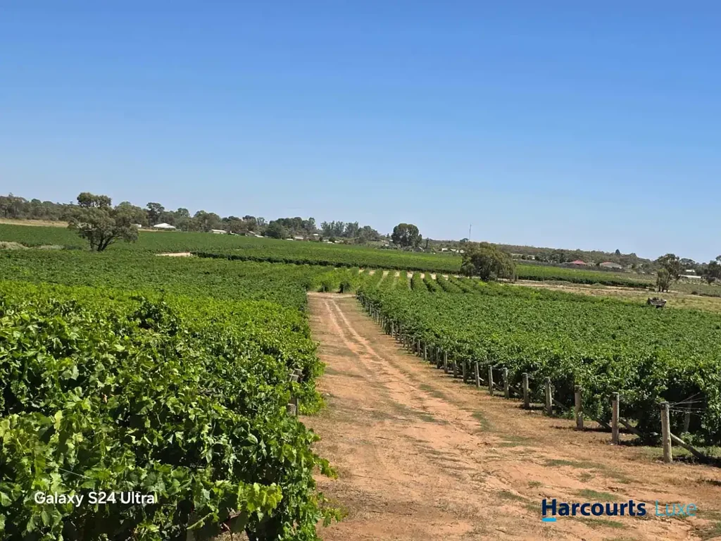 75 Claxton Road, Cadell, SA 5321
