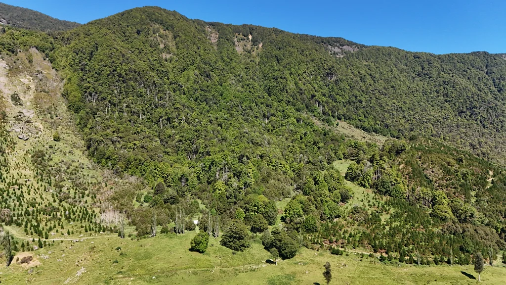 Murchison Genuine backcountry escape