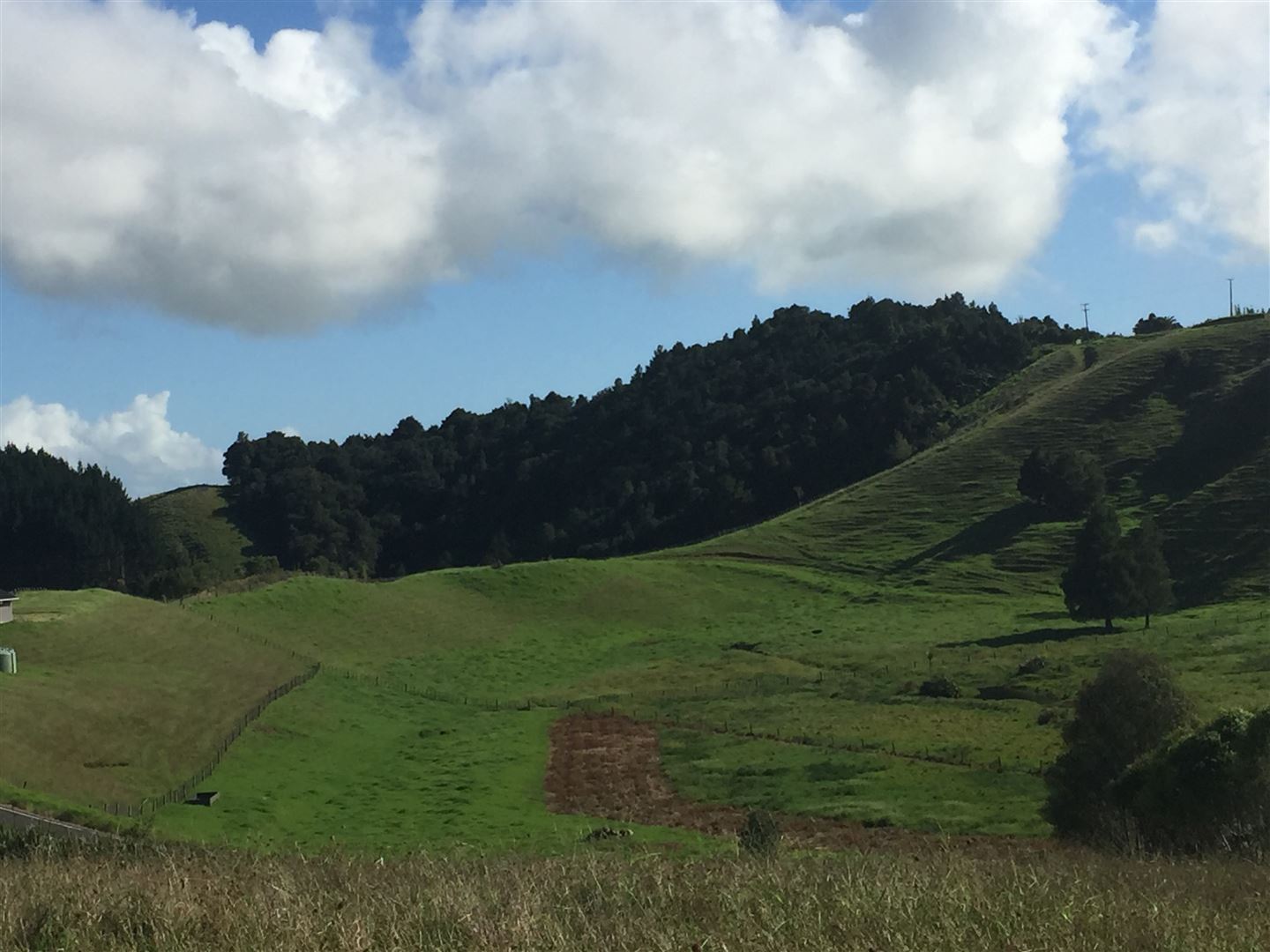 Millington Road, Maunu, Whangarei, 0房, 0浴