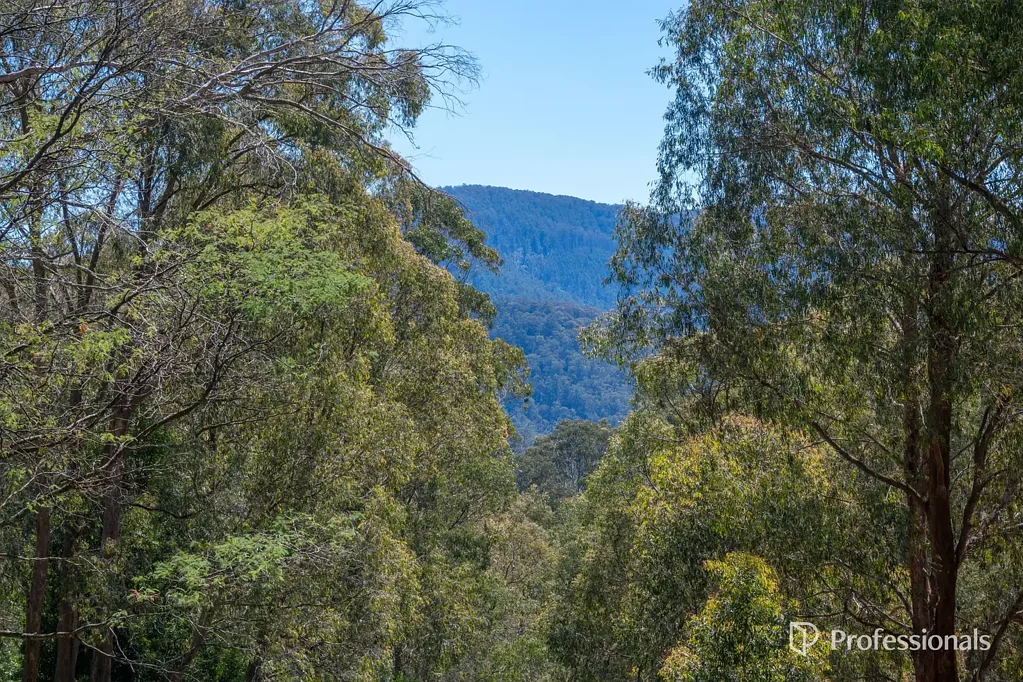 3 Hillcrest Drive, Mcmahons Creek, VIC 3799