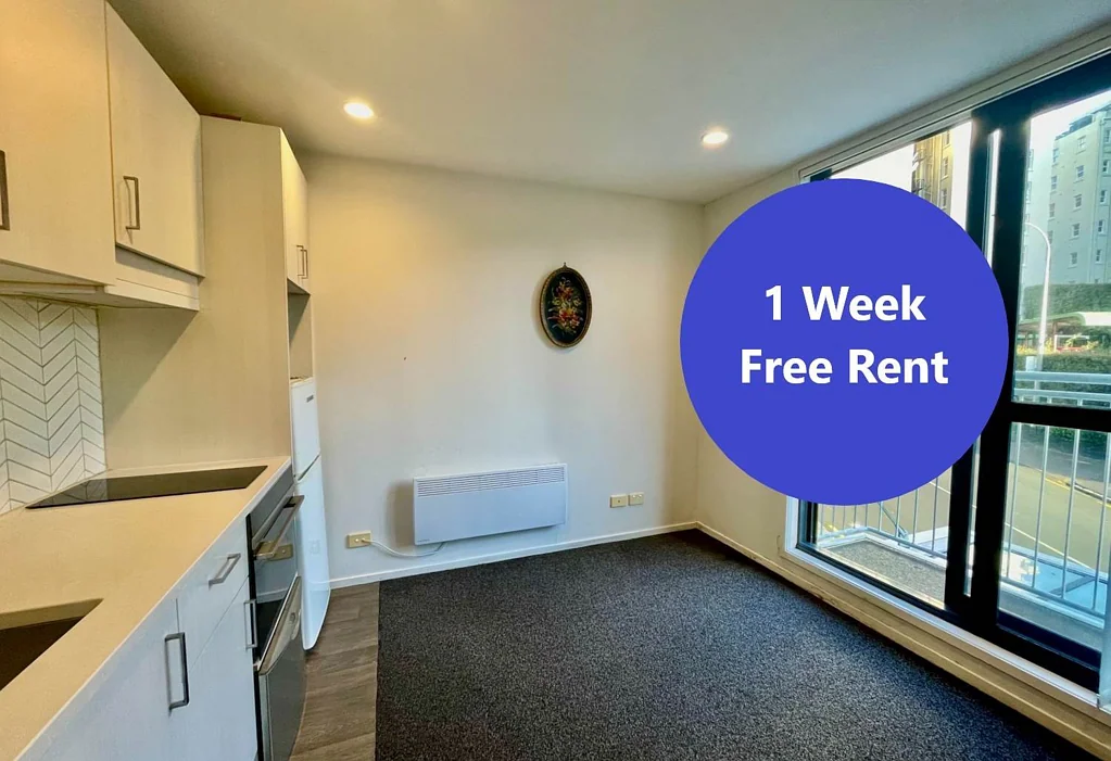 Furnished City Apartment