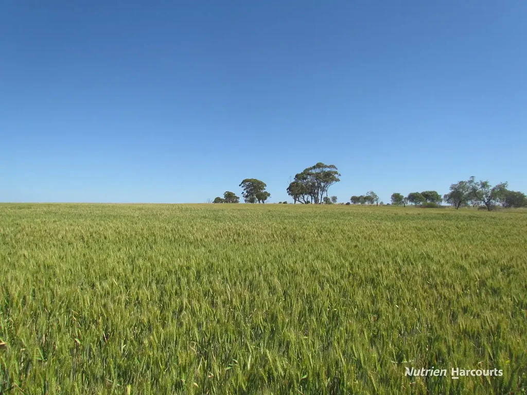 Carnamah Carnamah - For Sale / Lease