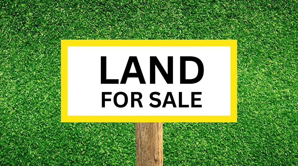 Lots 44 & 45 Herbert Street, Angus, NSW 2765
