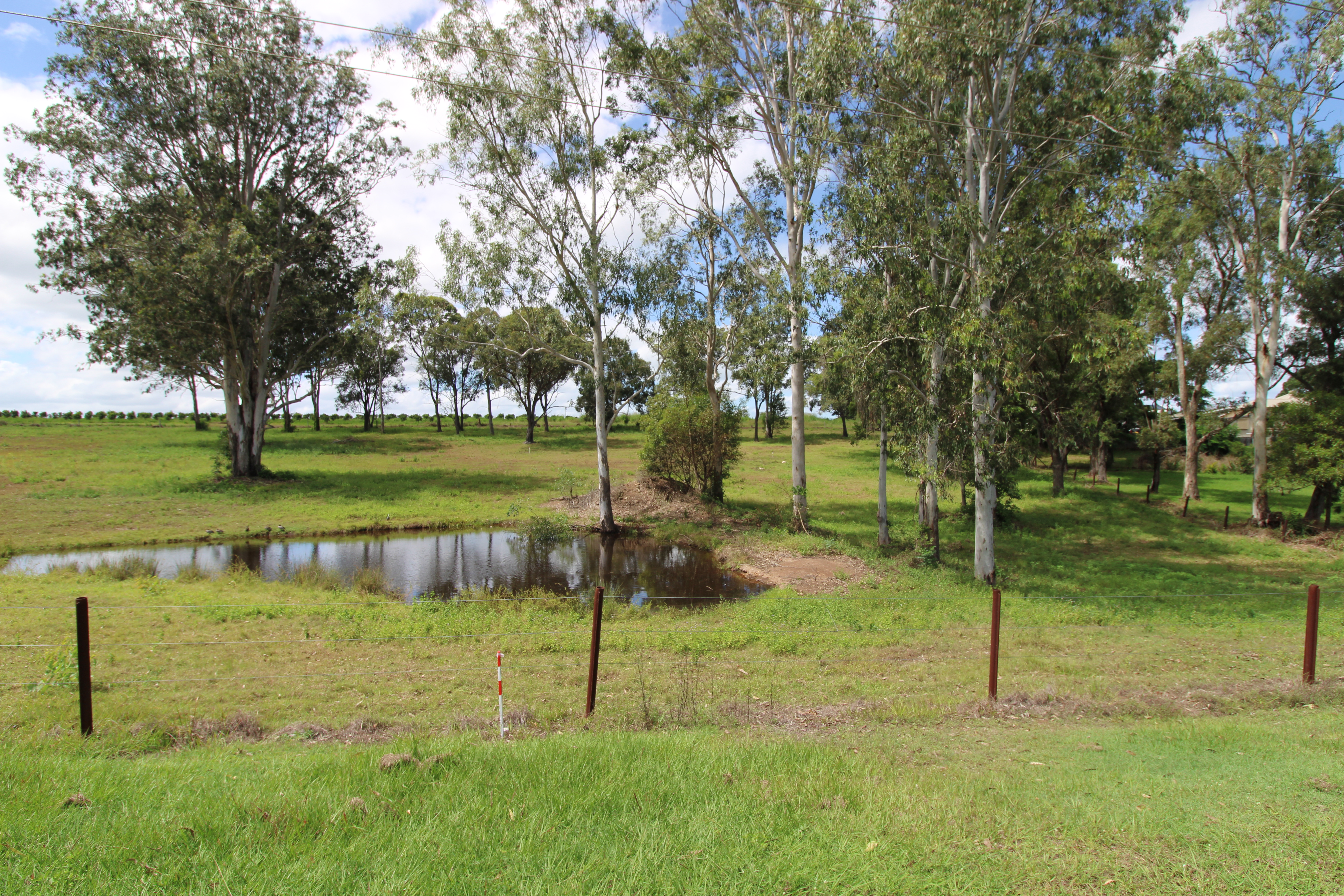 6 CEMETERY RD, CORDALBA QLD 4660, 0 ห้องนอน, 0 ห้องน้ำ, Section