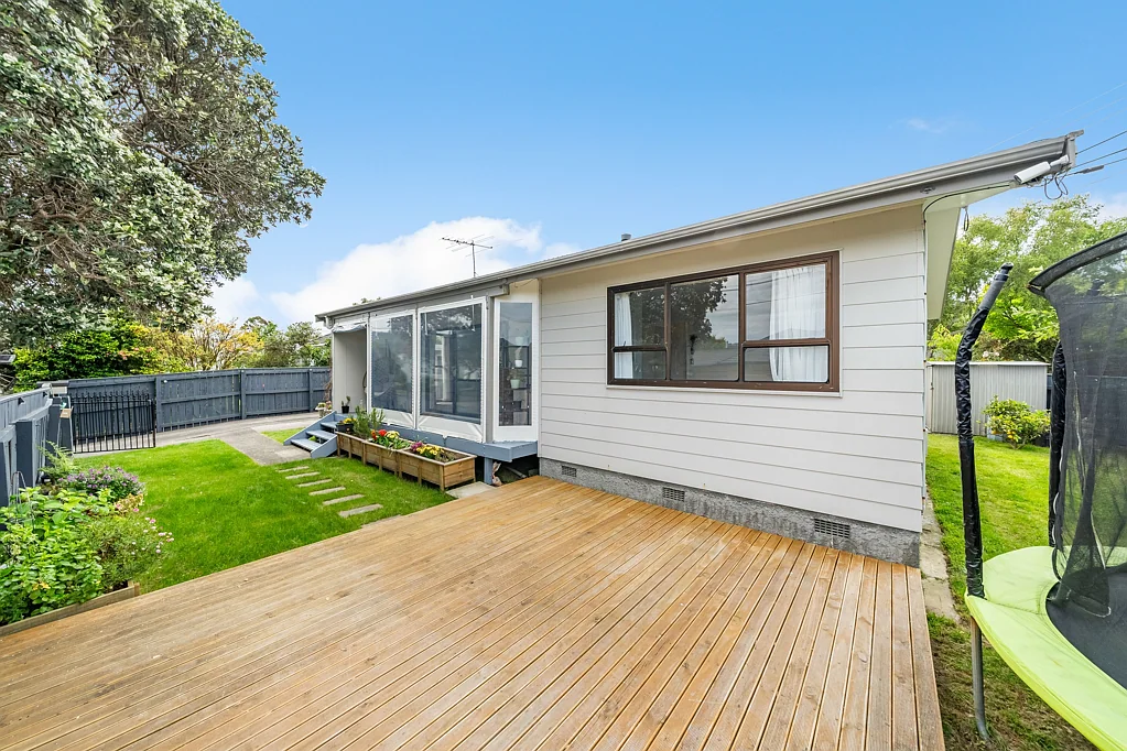 13 Vincent Street, Waterloo, Lower Hutt, Wellington