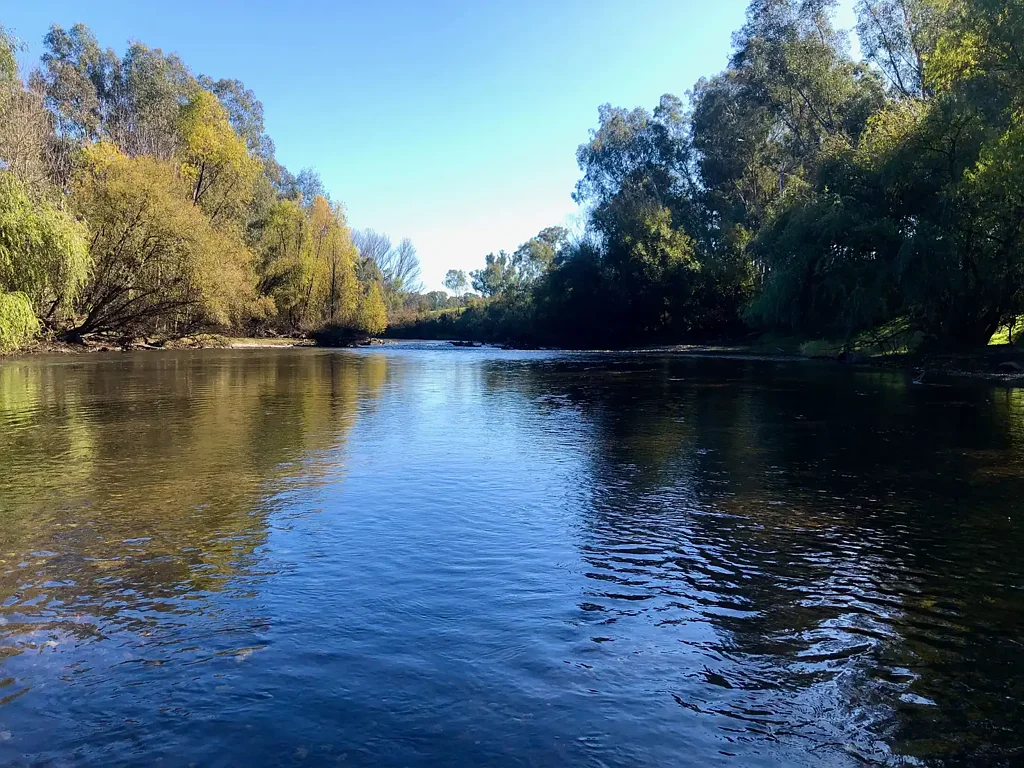 Address Withheld, Bowmans Forest, VIC 3735