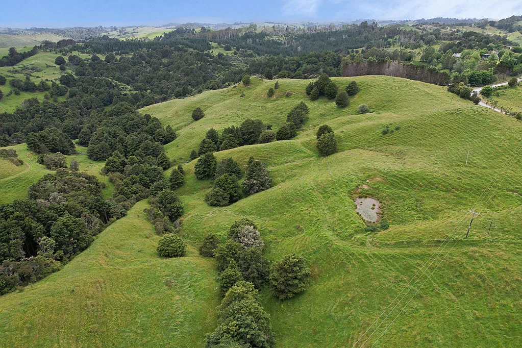 Paparoa  Productive grazing land with future potential