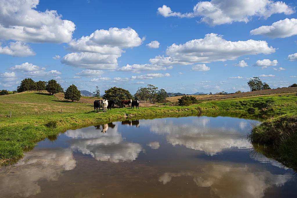 278 Pigs Head Road, Hikurangi, Northland