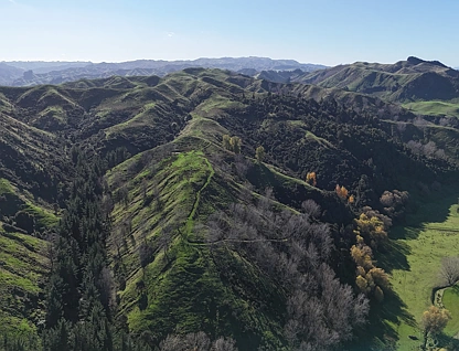 5679 State Highway 1, Mangaweka, Rangitikei, Wanganui, 0 Kuwarto, 0 Banyo, Grazing