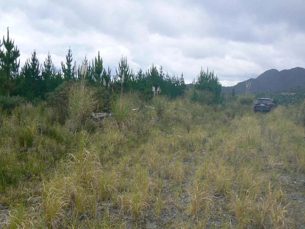 Mangamuka 20.1285 ha (More or Less) Lot 45 Forestry Block